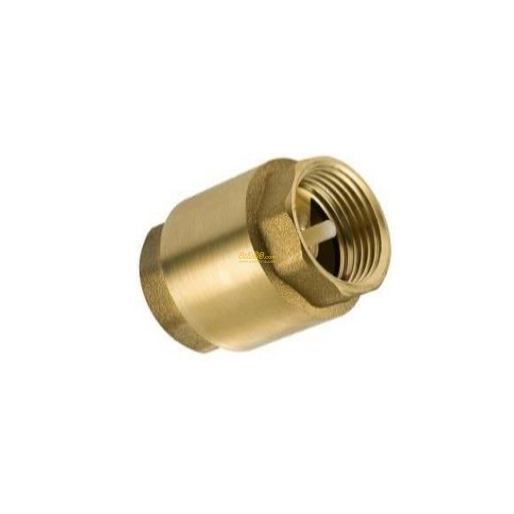 Cover image for 1 Inch Non Return Valve