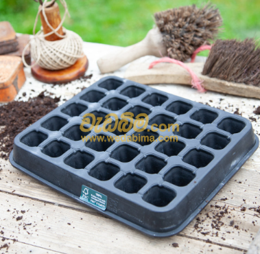 Cover image for Large Seed Tray
