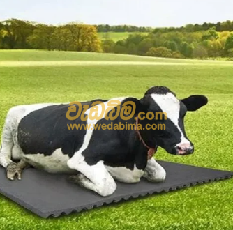 Cover image for Cow Mat