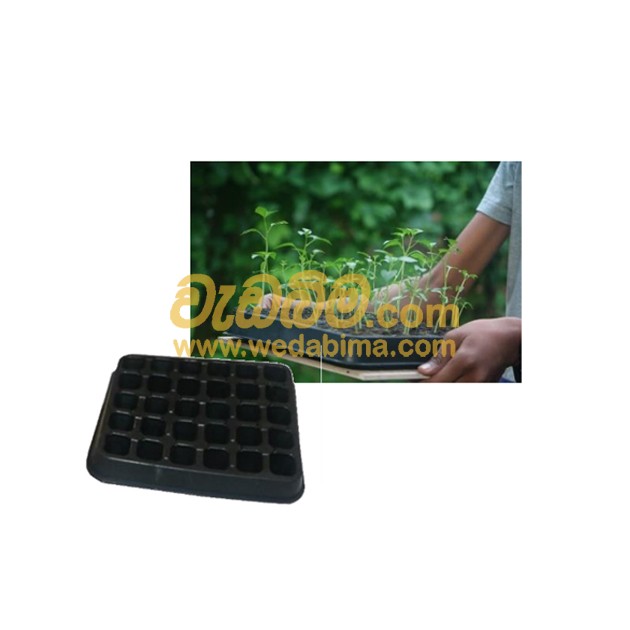 Cover image for Small Seed Tray