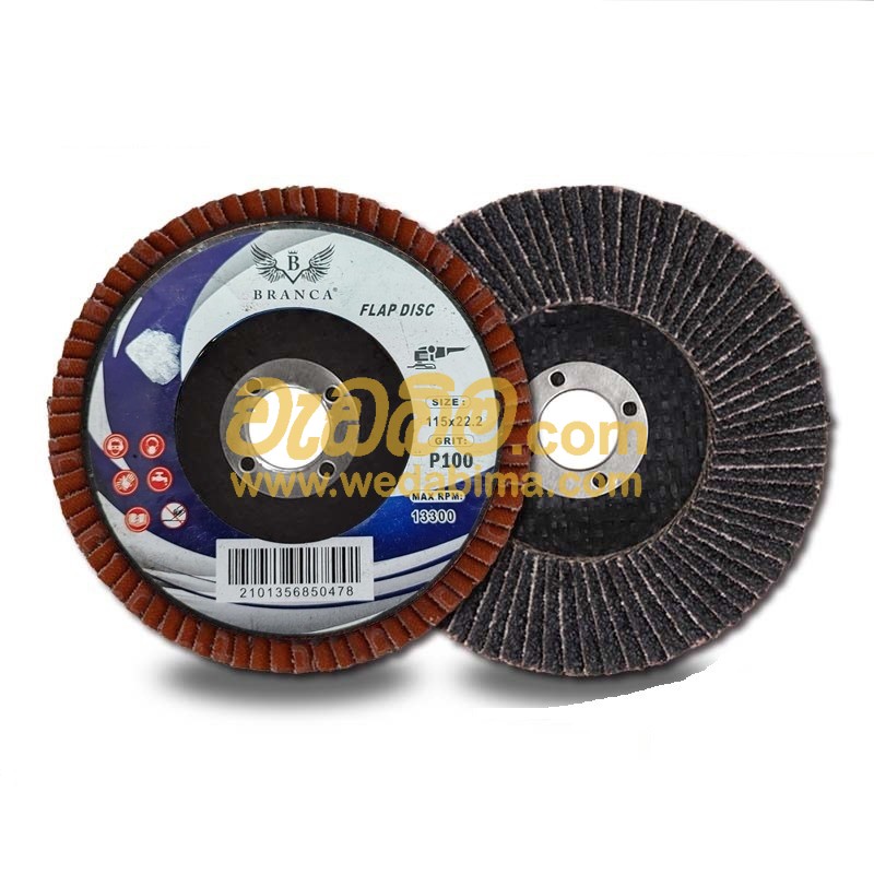 Cover image for 4 Inch Branca Flap Disk