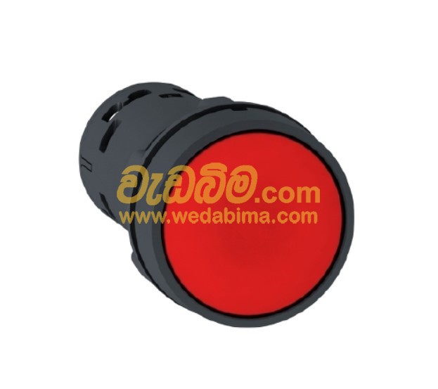 Cover image for Red Push Button