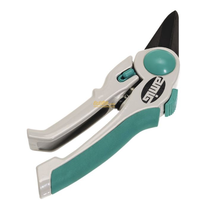 Prunning Scissor